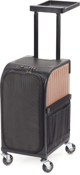 Sibel Rollercoaster Stoolcase Rollhocker Koffer Rosa Gold