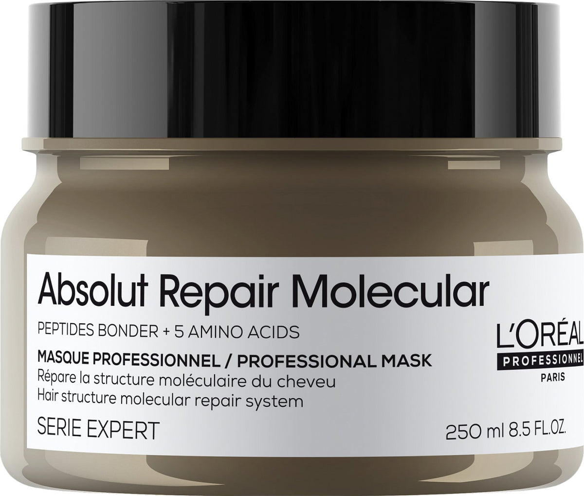 Loreal Absolut Repair Molecular Mask 250 ml