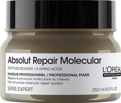 Loreal Absolut Repair Molecular Mask 250 ml