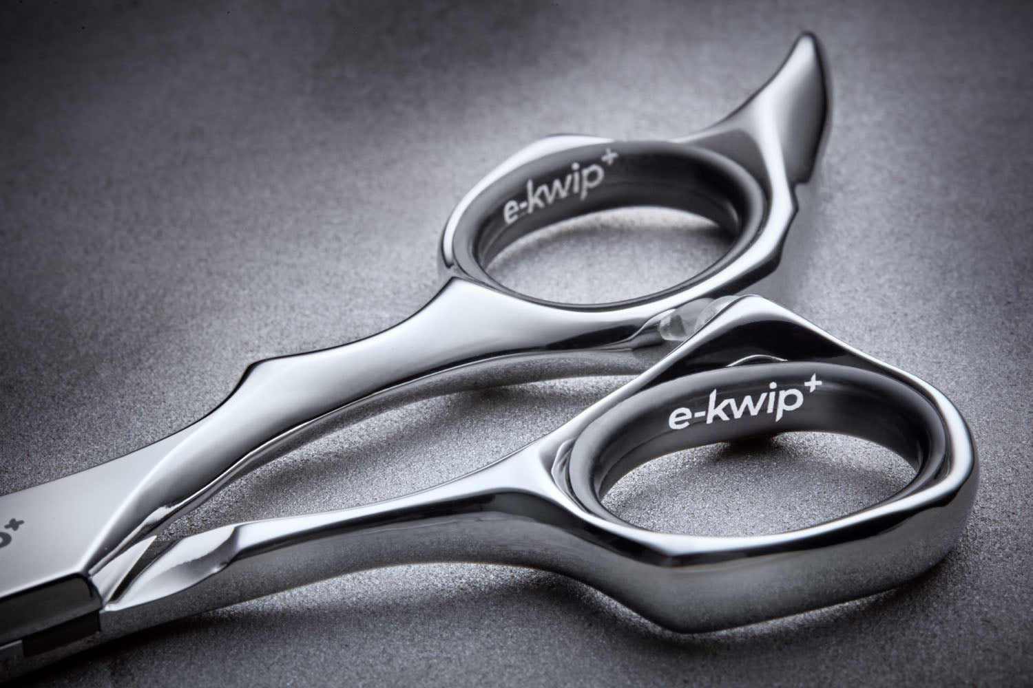 e kwip plus Future 40