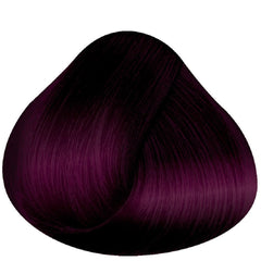 La Richè Directions Black Amethyst 100ml