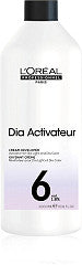 Loreal Diactivateur Entwickler 1,8% 1000 ml
