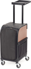 Sibel Rollercoaster Stoolcase Rollhocker Koffer Rosa Gold