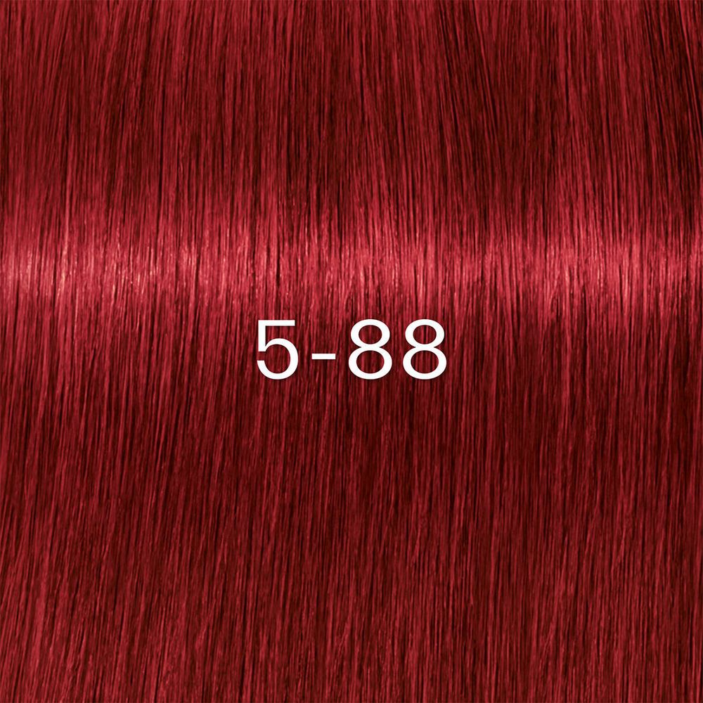 Schwarzkopf Igora Zero Amm Farben 60ml