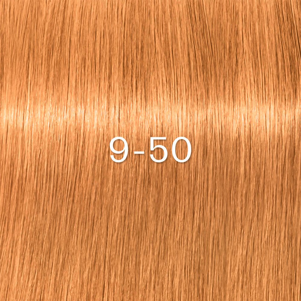 Schwarzkopf Igora Zero Amm Farben 60ml