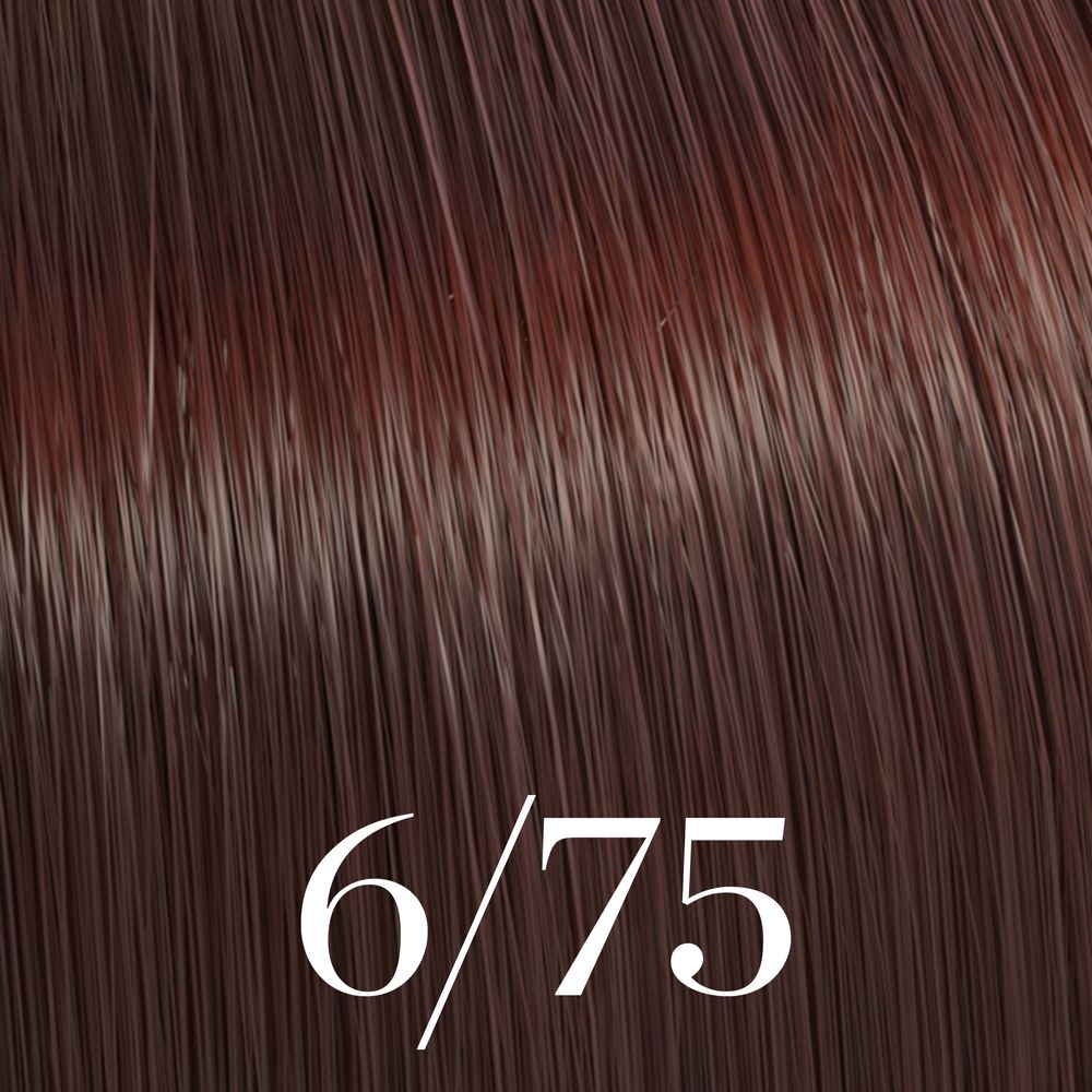 Wella Color Touch Glanz Intensiv Tönung 60ml
