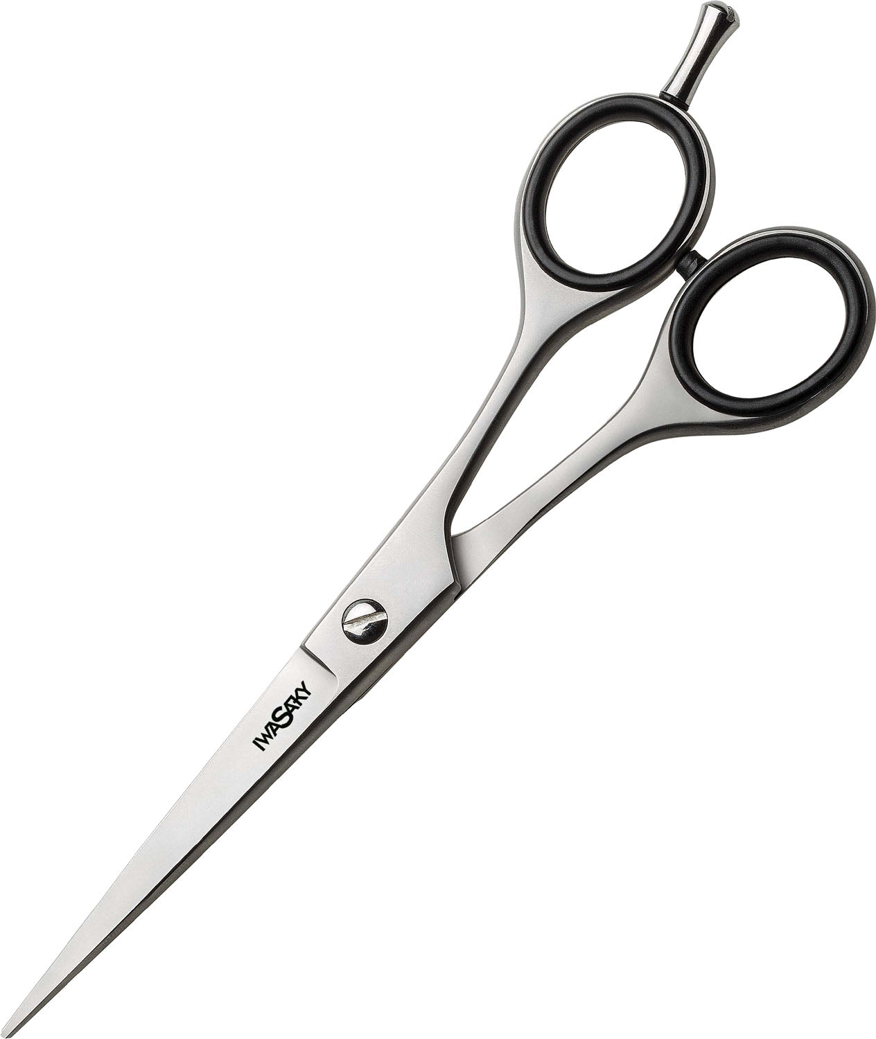 XanitaliaPro Iwasaki Steel 6.5