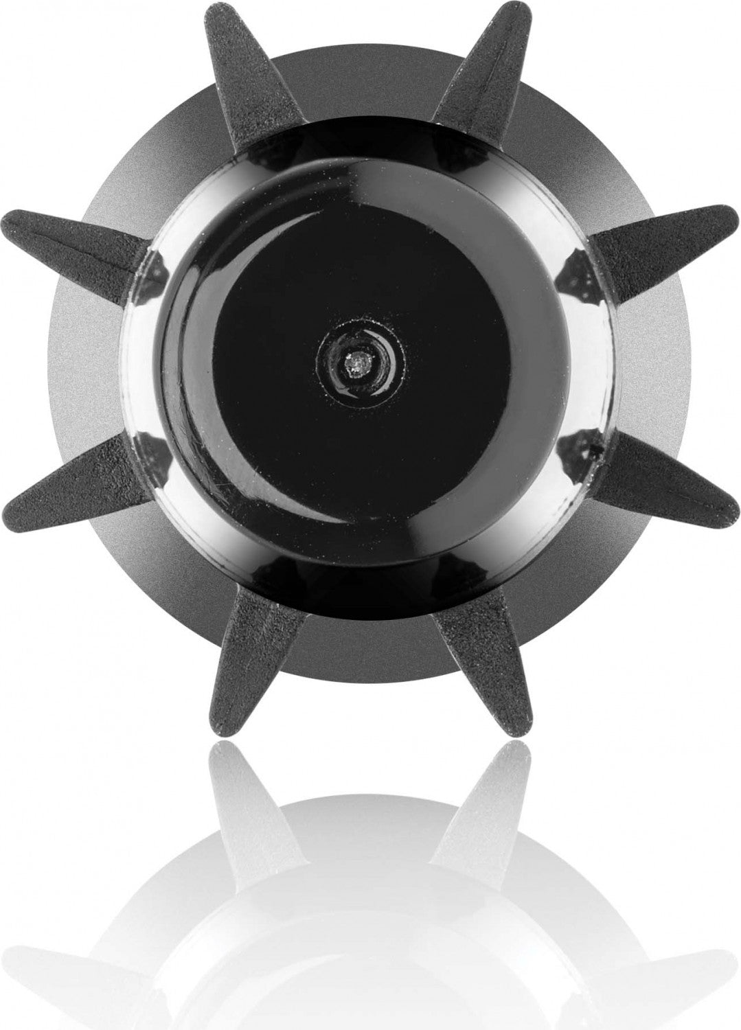 XanitaliaPro Haarbürste Liss Ø16mm Ø20mm von Sthauer